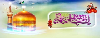 ولادت آقا اما رضا (ع)  مبارک باد